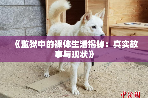 《监狱中的裸体生活揭秘：真实故事与现状》