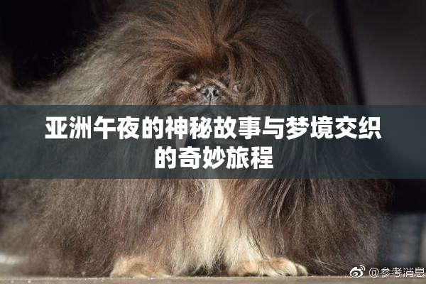 亚洲午夜的神秘故事与梦境交织的奇妙旅程
