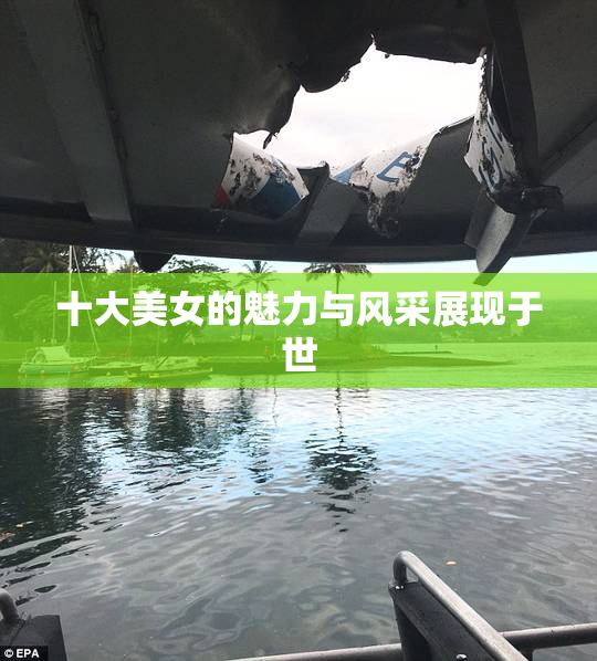 十大美女的魅力与风采展现于世