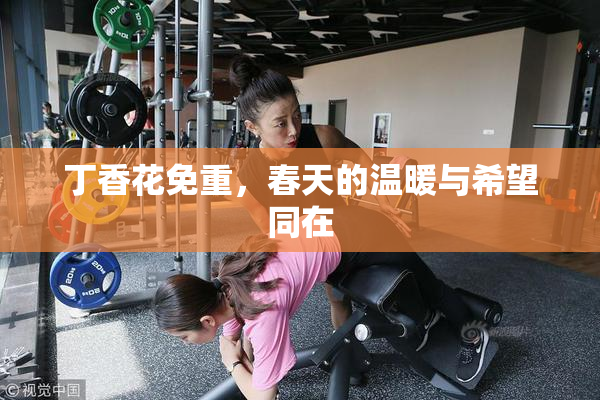 丁香花免重，春天的温暖与希望同在