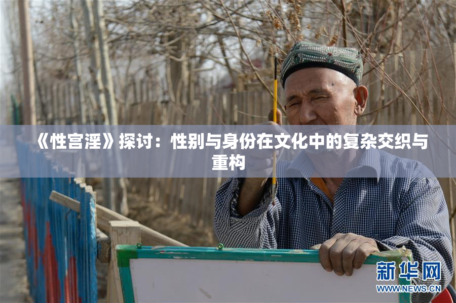 《性宫淫》探讨：性别与身份在文化中的复杂交织与重构