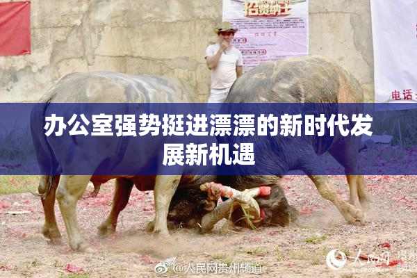 办公室强势挺进漂漂的新时代发展新机遇