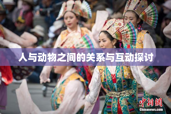 人与动物之间的关系与互动探讨