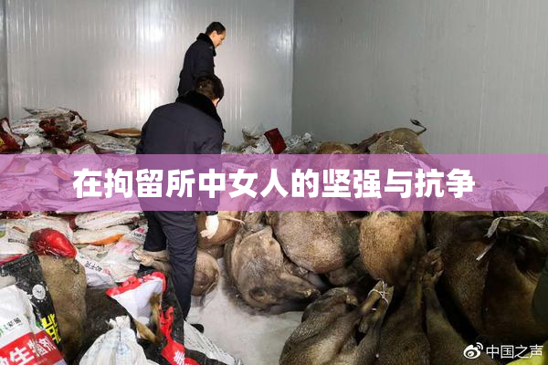 在拘留所中女人的坚强与抗争