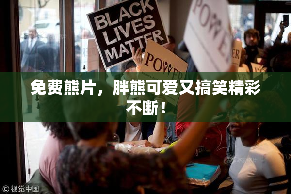 免费熊片，胖熊可爱又搞笑精彩不断！