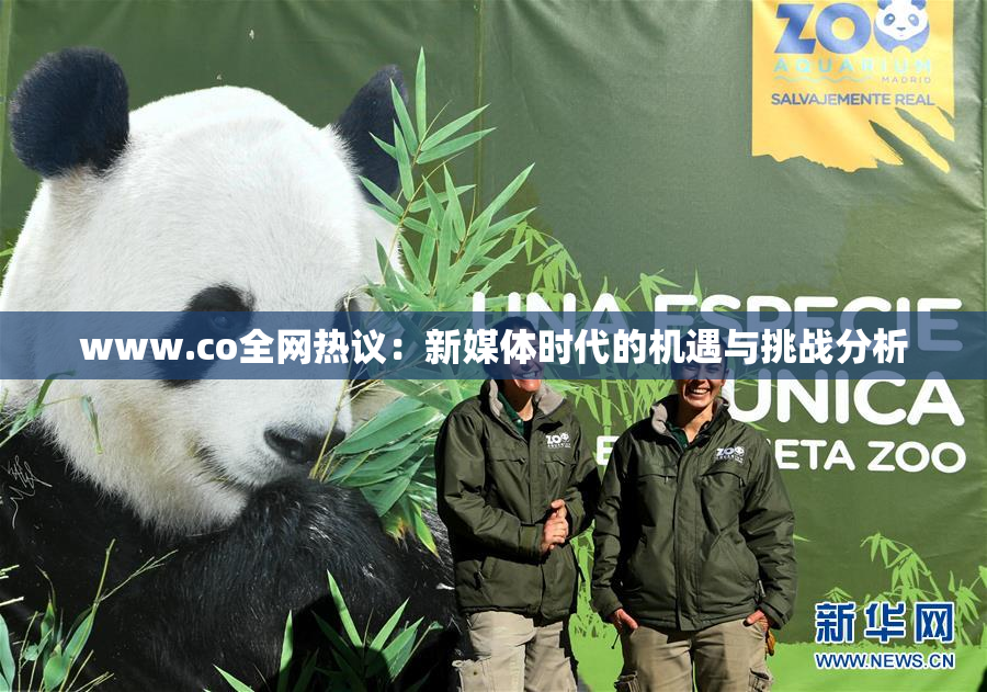 www.co全网热议：新媒体时代的机遇与挑战分析