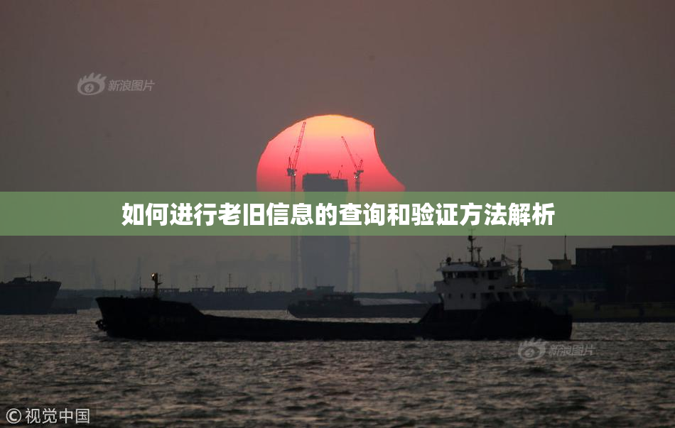 如何进行老旧信息的查询和验证方法解析