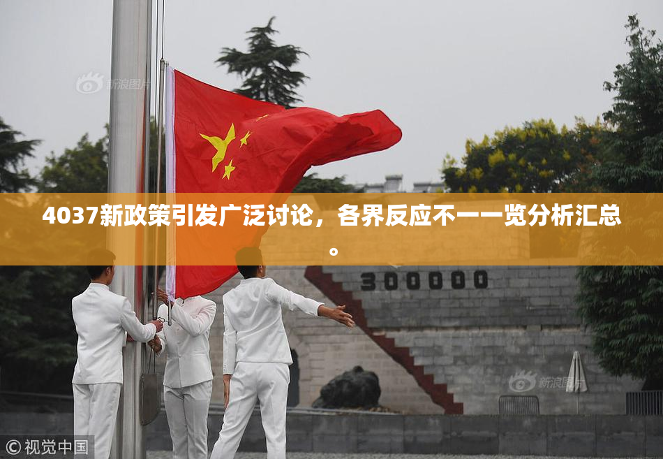 4037新政策引发广泛讨论，各界反应不一一览分析汇总。