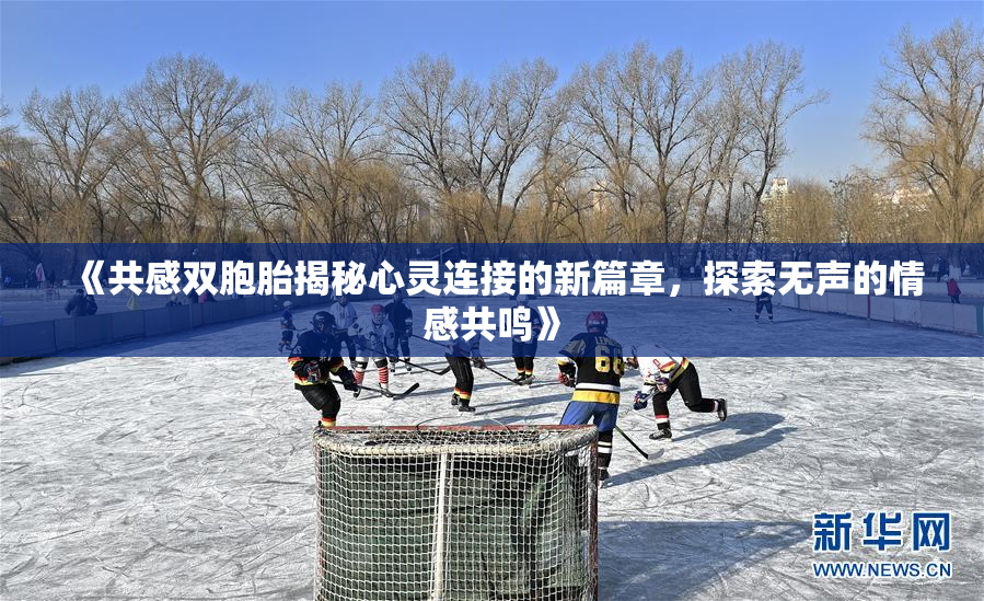 《共感双胞胎揭秘心灵连接的新篇章，探索无声的情感共鸣》
