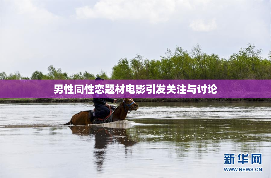 男性同性恋题材电影引发关注与讨论