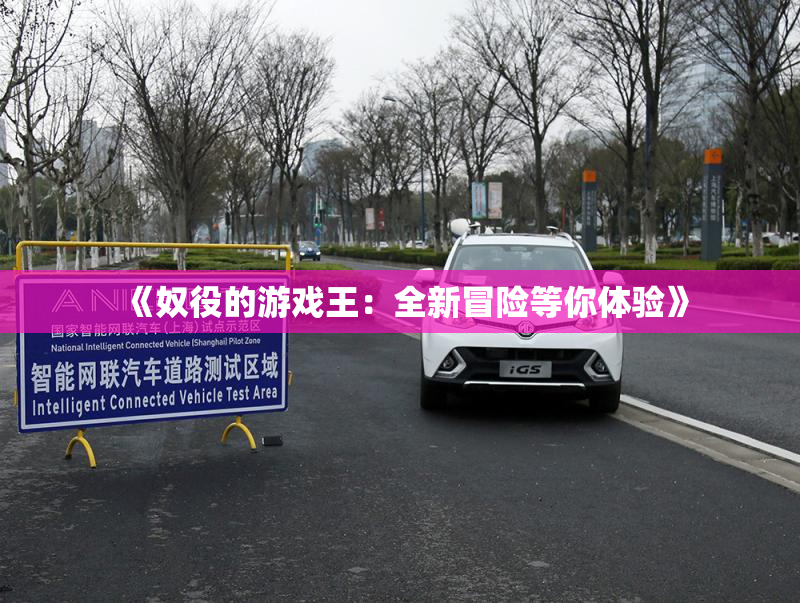 《奴役的游戏王：全新冒险等你体验》