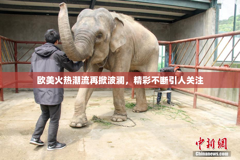 欧美火热潮流再掀波澜，精彩不断引人关注