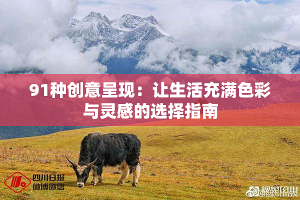 91种创意呈现：让生活充满色彩与灵感的选择指南
