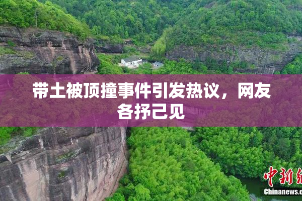 带土被顶撞事件引发热议，网友各抒己见