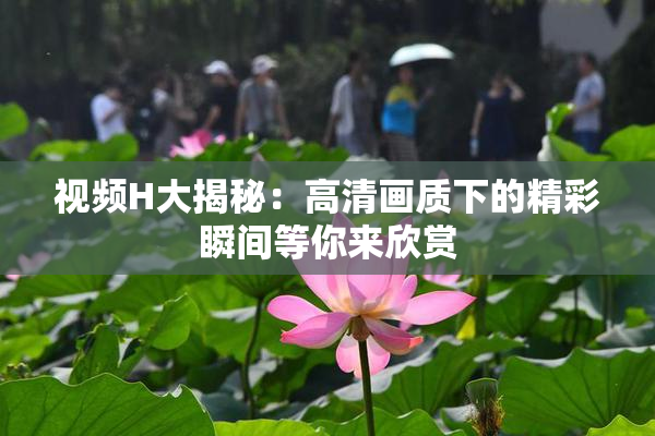 视频H大揭秘：高清画质下的精彩瞬间等你来欣赏