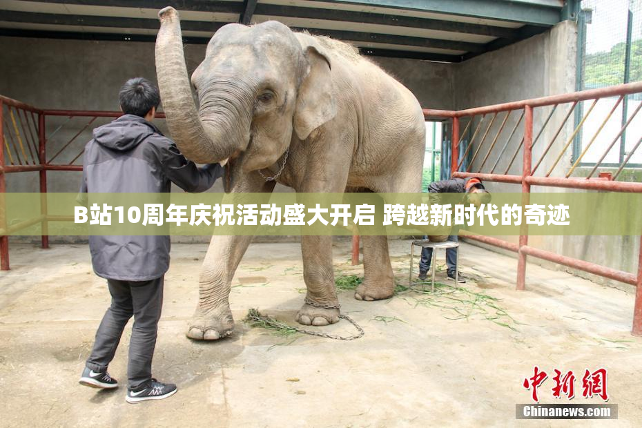 B站10周年庆祝活动盛大开启 跨越新时代的奇迹