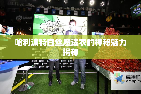 哈利波特白丝魔法衣的神秘魅力揭秘