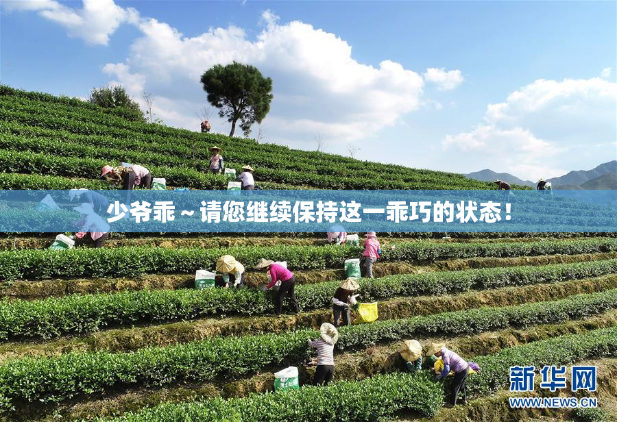 少爷乖～请您继续保持这一乖巧的状态！