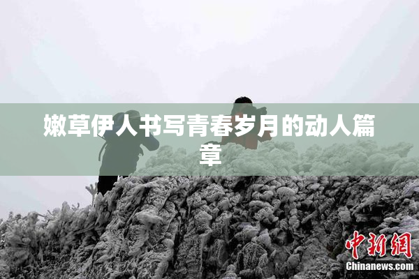 嫩草伊人书写青春岁月的动人篇章