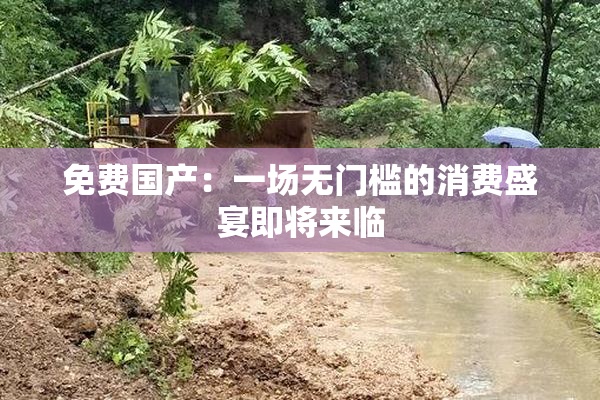 免费国产：一场无门槛的消费盛宴即将来临