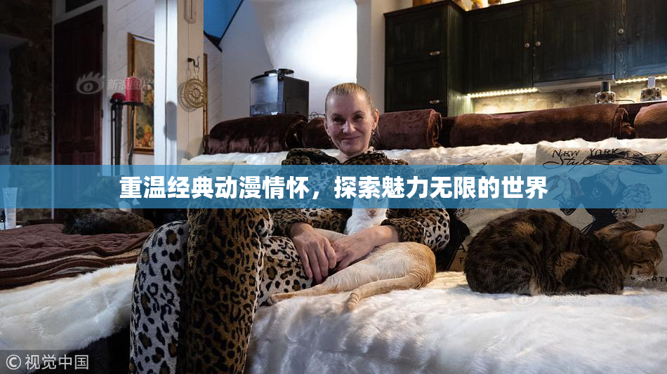 重温经典动漫情怀，探索魅力无限的世界