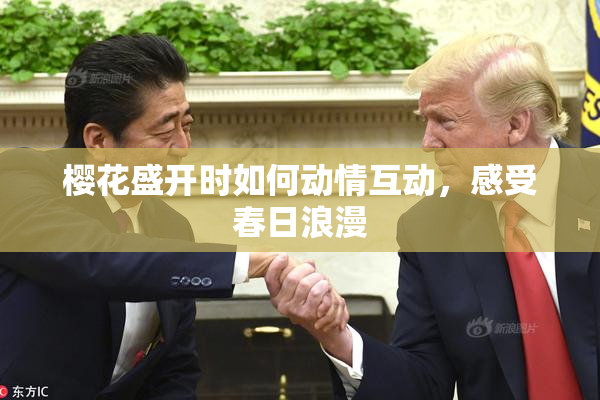 樱花盛开时如何动情互动，感受春日浪漫