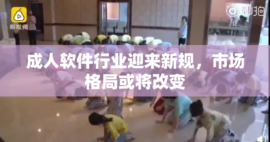 成人软件行业迎来新规，市场格局或将改变