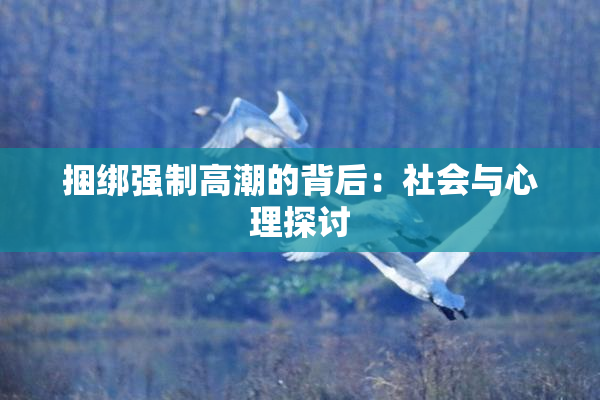 捆绑强制高潮的背后：社会与心理探讨