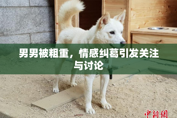男男被粗重，情感纠葛引发关注与讨论