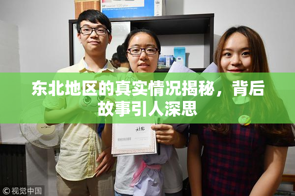东北地区的真实情况揭秘，背后故事引人深思