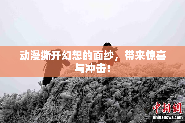 动漫撕开幻想的面纱，带来惊喜与冲击！