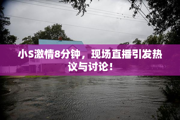 小S激情8分钟，现场直播引发热议与讨论！
