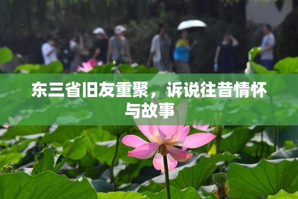 东三省旧友重聚，诉说往昔情怀与故事