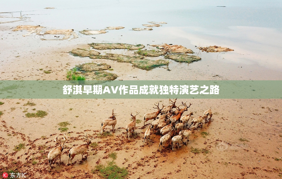 舒淇早期AV作品成就独特演艺之路