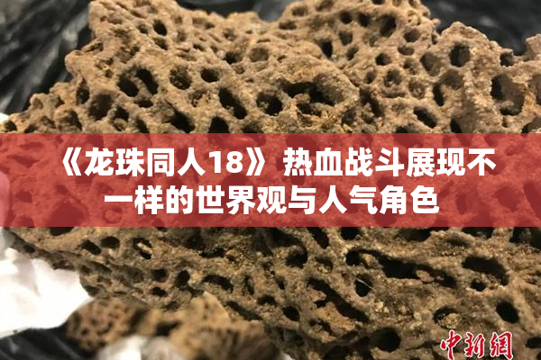 《龙珠同人18》 热血战斗展现不一样的世界观与人气角色