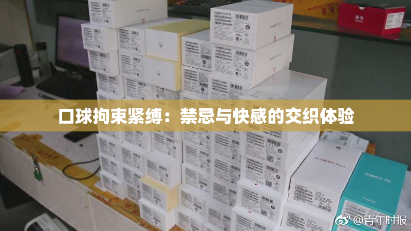 口球拘束紧缚：禁忌与快感的交织体验