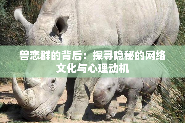 兽恋群的背后：探寻隐秘的网络文化与心理动机