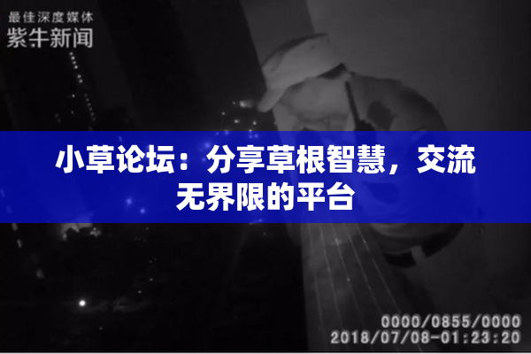 小草论坛：分享草根智慧，交流无界限的平台