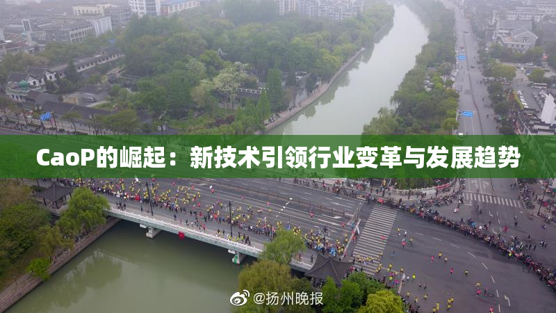 CaoP的崛起：新技术引领行业变革与发展趋势