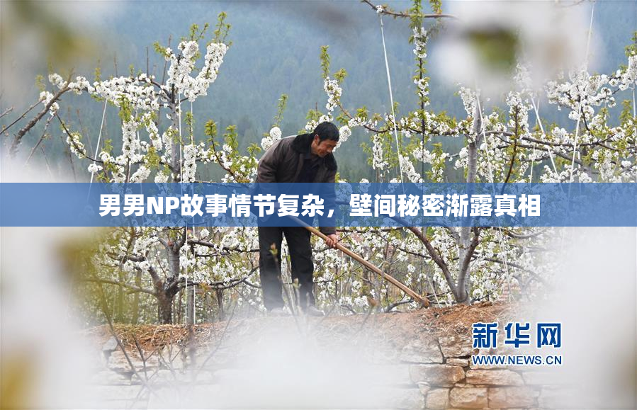 男男NP故事情节复杂，壁间秘密渐露真相