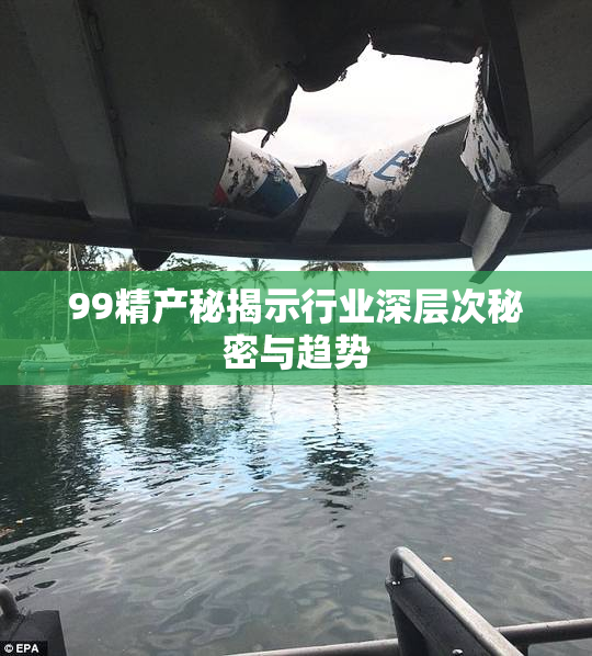 99精产秘揭示行业深层次秘密与趋势