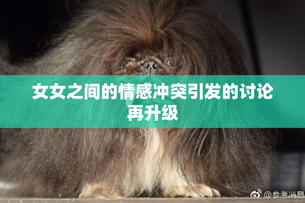 女女之间的情感冲突引发的讨论再升级