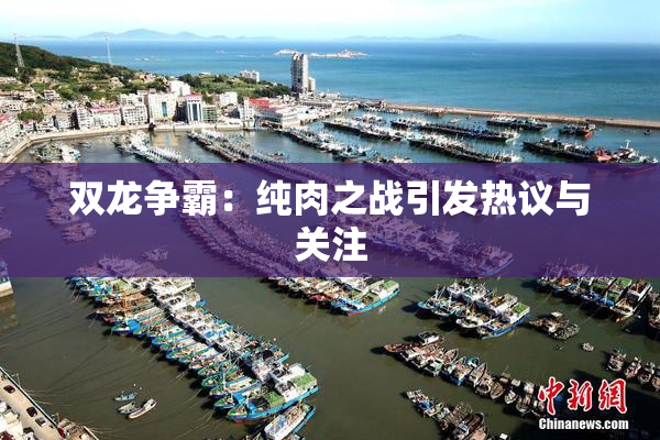 双龙争霸：纯肉之战引发热议与关注
