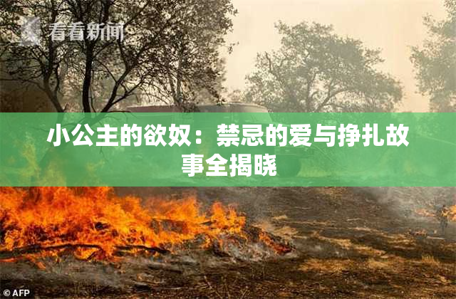 小公主的欲奴：禁忌的爱与挣扎故事全揭晓