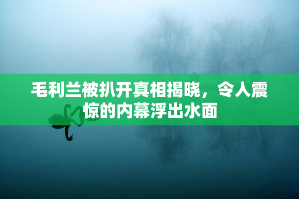 毛利兰被扒开真相揭晓，令人震惊的内幕浮出水面