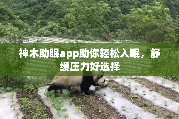 神木助眠app助你轻松入眠，舒缓压力好选择