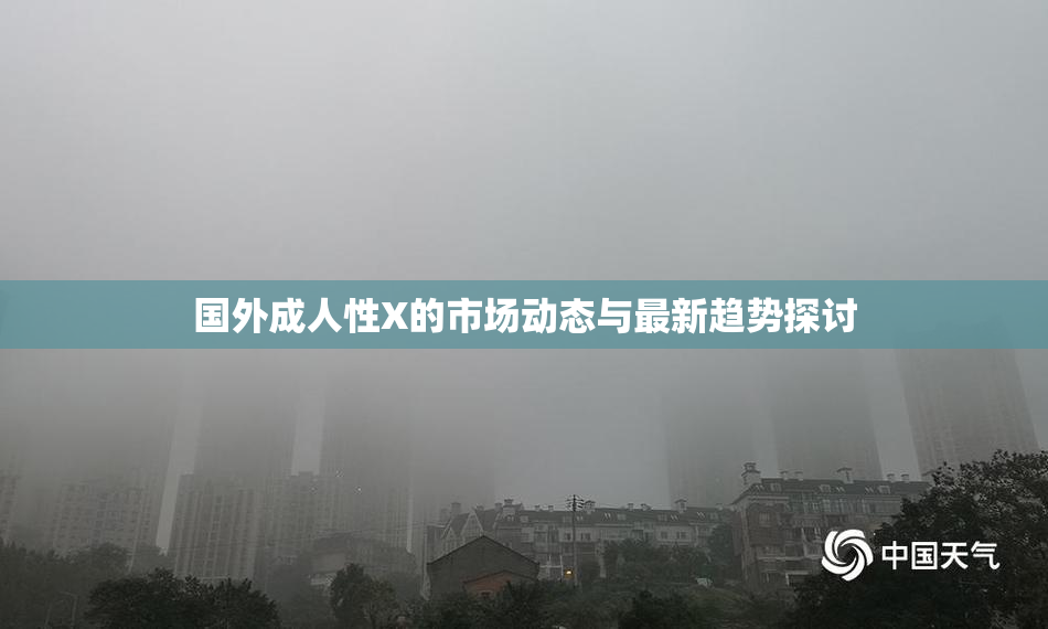 国外成人性X的市场动态与最新趋势探讨