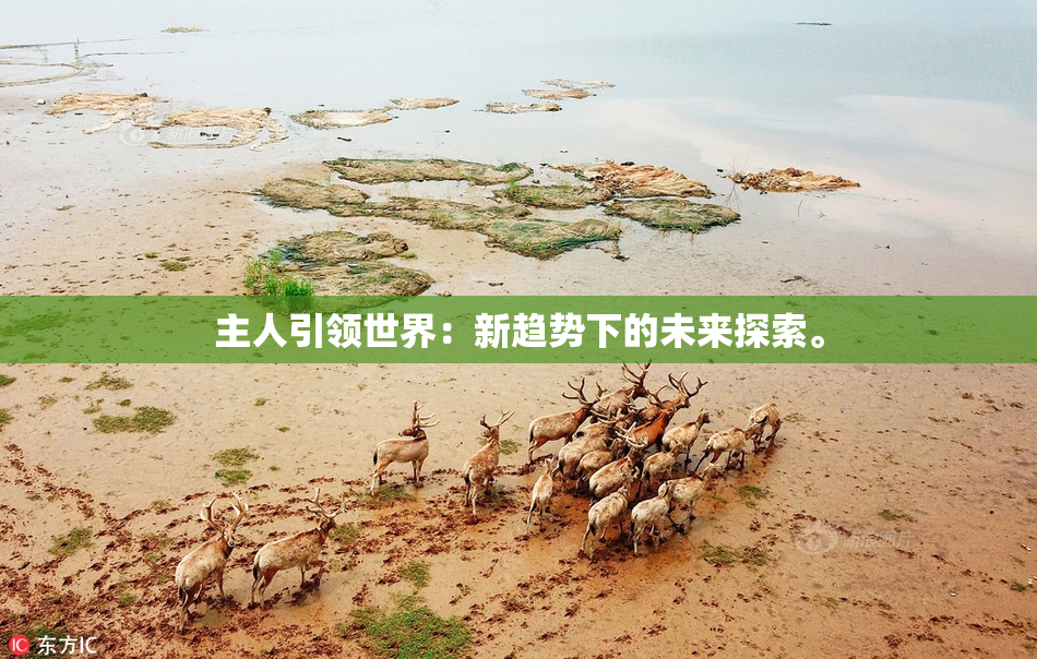 主人引领世界：新趋势下的未来探索。