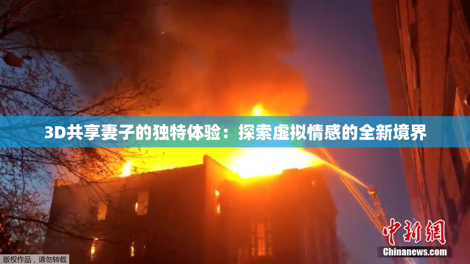 3D共享妻子的独特体验：探索虚拟情感的全新境界