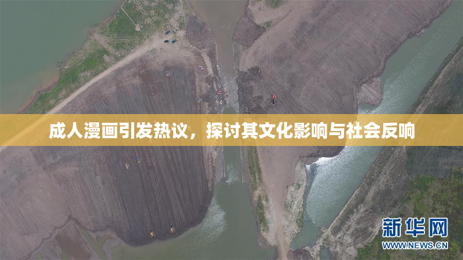 成人漫画引发热议，探讨其文化影响与社会反响